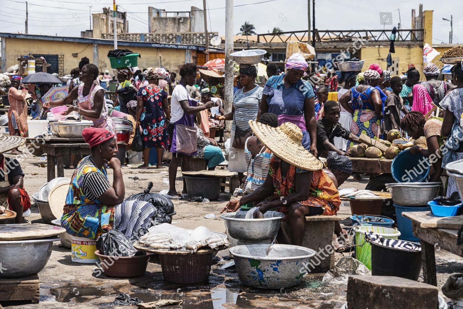 Traditional Fish Market Tour