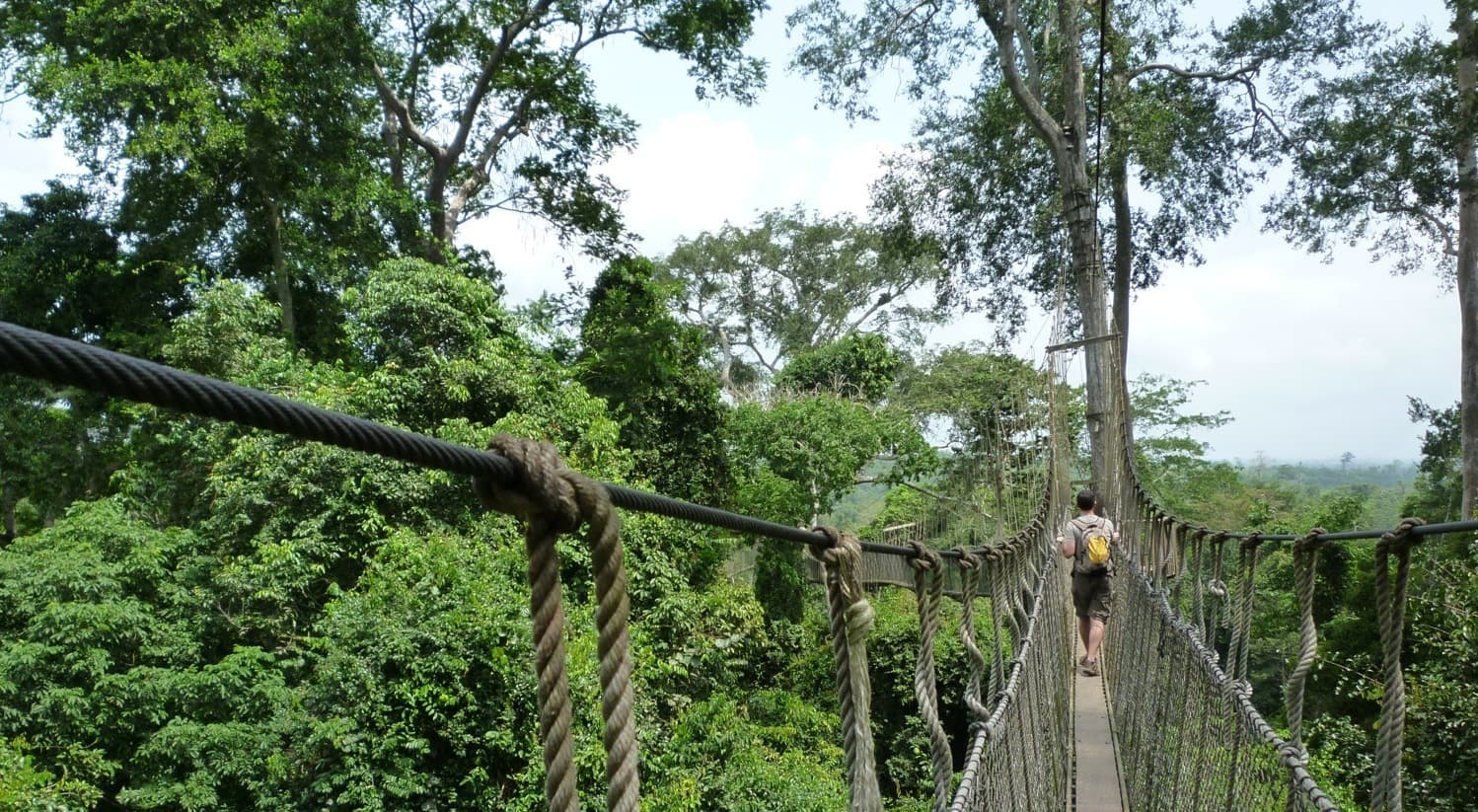 Kakum National Park